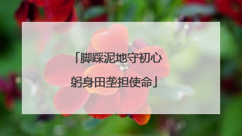脚踩泥地守初心 躬身田垄担使命