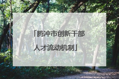 腾冲市创新干部人才流动机制