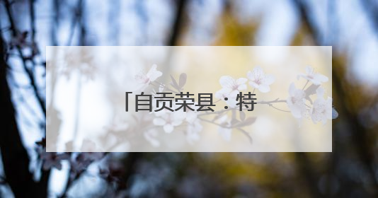 自贡荣县：特校健儿包揽乒乓球赛事双冠军