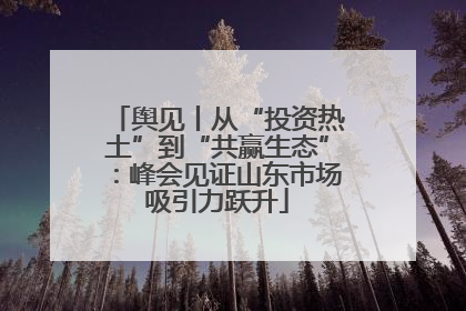 舆见丨从“投资热土”到“共赢生态”：峰会见证山东市场吸引力跃升