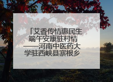 艾香传情惠民生 端午安康驻村情——河南中医药大学驻西峡县寨根乡桑树村工作队端午中医惠民记