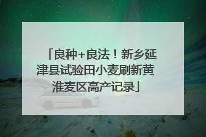 良种+良法！新乡延津县试验田小麦刷新黄淮麦区高产记录