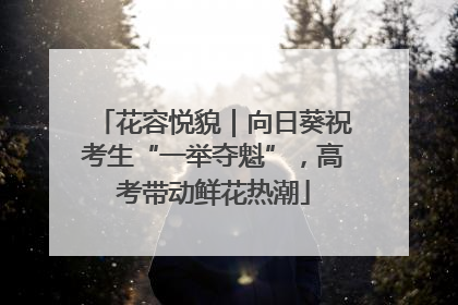 花容悦貌｜向日葵祝考生“一举夺魁”，高考带动鲜花热潮