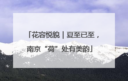 花容悦貌｜夏至已至，南京“荷”处有美韵