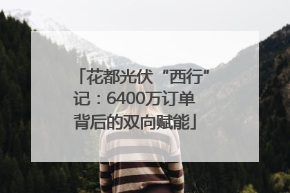 花都光伏“西行”记：6400万订单背后的双向赋能