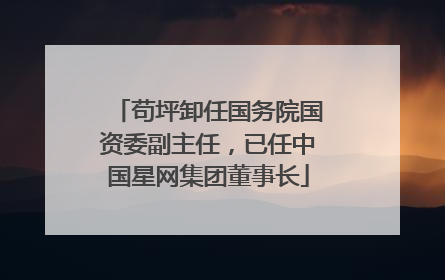 苟坪卸任国务院国资委副主任，已任中国星网集团董事长