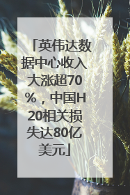 英伟达数据中心收入大涨超70%，中国H20相关损失达80亿美元