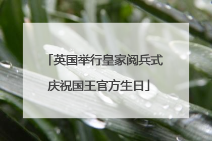 英国举行皇家阅兵式庆祝国王官方生日