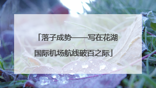 落子成势——写在花湖国际机场航线破百之际