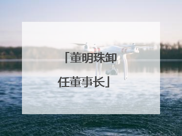 董明珠卸任董事长