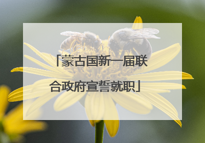 蒙古国新一届联合政府宣誓就职