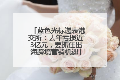 蓝色光标递表港交所：去年亏损近3亿元，要抓住出海跨境营销机遇