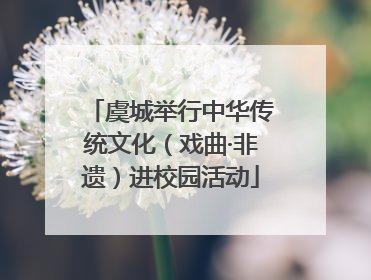 虞城举行中华传统文化（戏曲·非遗）进校园活动