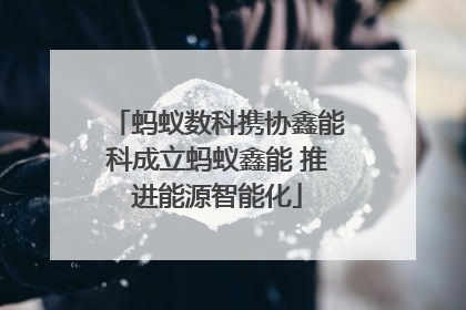 蚂蚁数科携协鑫能科成立蚂蚁鑫能 推进能源智能化