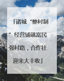 诸城“整村制”经营铺就富民强村路，合作社迎来大丰收