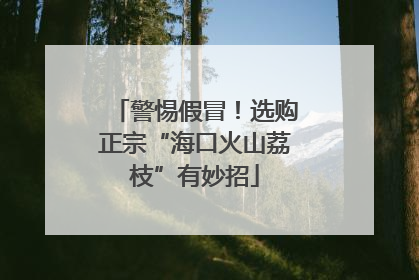 警惕假冒！选购正宗“海口火山荔枝”有妙招
