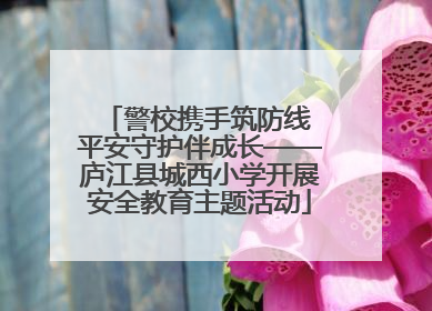 警校携手筑防线 平安守护伴成长——庐江县城西小学开展安全教育主题活动