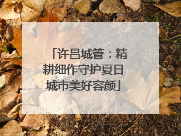 许昌城管：精耕细作守护夏日城市美好容颜