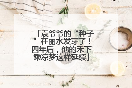袁爷爷的“种子”在丽水发芽了！四年后，他的禾下乘凉梦这样延续