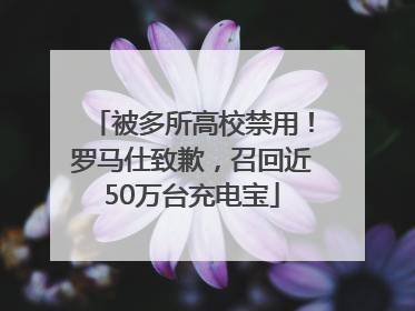 被多所高校禁用！罗马仕致歉，召回近50万台充电宝