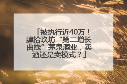 被执行近40万！肆拾玖坊“第二增长曲线”茅泉酒业，卖酒还是卖模式？