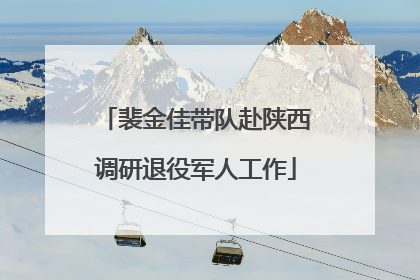 裴金佳带队赴陕西调研退役军人工作
