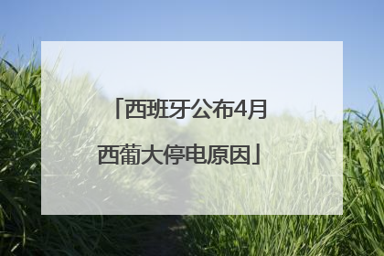 西班牙公布4月西葡大停电原因