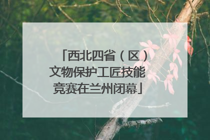 西北四省（区）文物保护工匠技能竞赛在兰州闭幕
