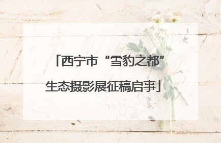 西宁市“雪豹之都”生态摄影展征稿启事
