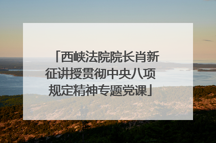 西峡法院院长肖新征讲授贯彻中央八项规定精神专题党课