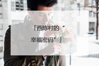 西陈村的“幸福密码”