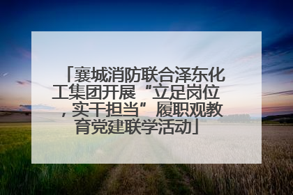 襄城消防联合泽东化工集团开展“立足岗位，实干担当”履职观教育党建联学活动
