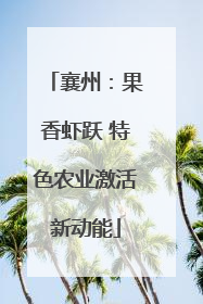 襄州：果香虾跃 特色农业激活新动能