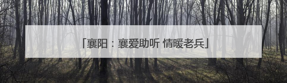 襄阳：襄爱助听 情暖老兵