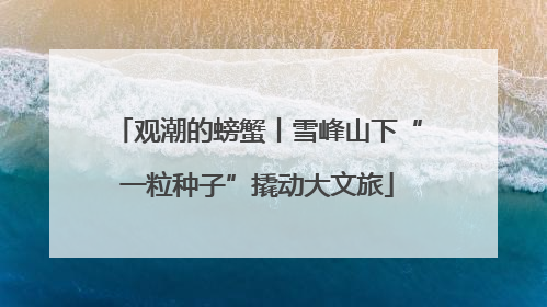 观潮的螃蟹丨雪峰山下“一粒种子”撬动大文旅