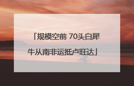 规模空前 70头白犀牛从南非运抵卢旺达