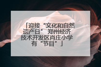 迎接“文化和自然遗产日” 郑州经济技术开发区肖庄小学有“节目”