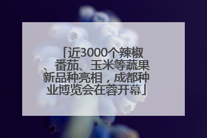 近3000个辣椒、番茄、玉米等蔬果新品种亮相，成都种业博览会在蓉开幕
