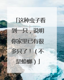 这种虫子看到一只，说明你家里已有很多只了！（不是蟑螂）