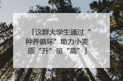 这群大学生通过“种养循环”助力小麦质“升”量“高”