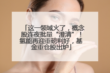 这一领域火了，概念股连夜批量“澄清”！氢能再迎重磅利好，基金重仓股出炉