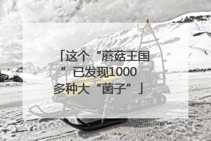 这个“蘑菇王国”已发现1000多种大“菌子”