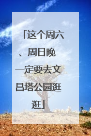这个周六、周日晚 一定要去文昌塔公园逛逛