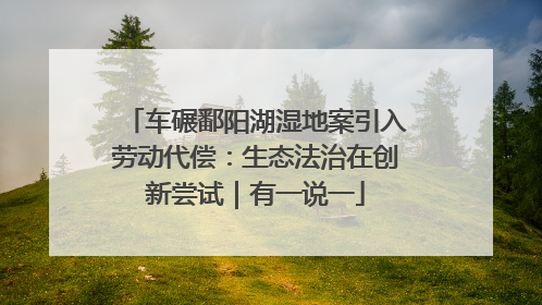 车碾鄱阳湖湿地案引入劳动代偿：生态法治在创新尝试｜有一说一