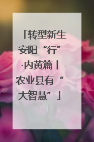 转型新生安阳“行”·内黄篇丨农业县有“大智慧”