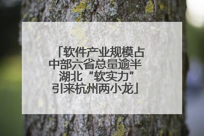 软件产业规模占中部六省总量逾半 湖北“软实力”引来杭州两小龙