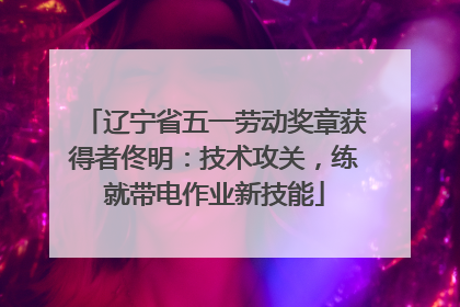 辽宁省五一劳动奖章获得者佟明：技术攻关，练就带电作业新技能
