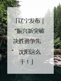 辽宁发布｜“振兴新突破 决胜勇争先” 沈阳这么干！