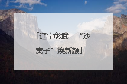辽宁彰武：“沙窝子”焕新颜