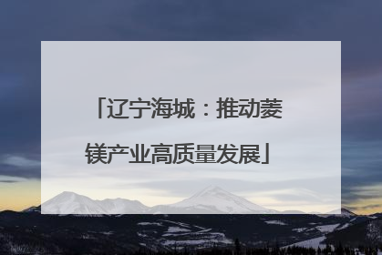 辽宁海城：推动菱镁产业高质量发展
